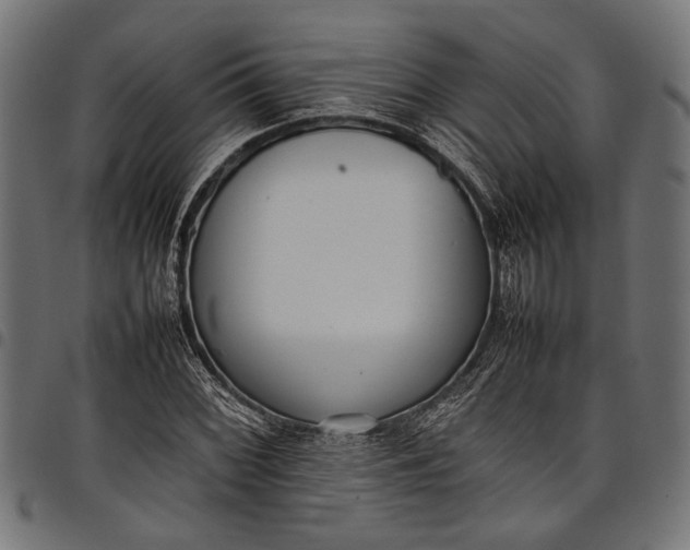 X0000097821068200803281116