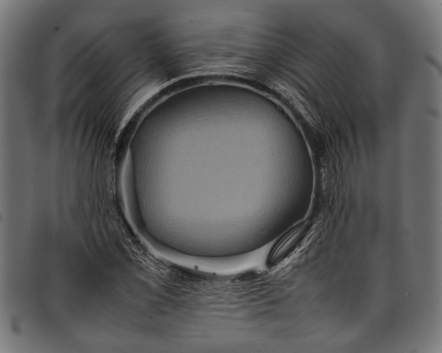 X0000097821069200803281116