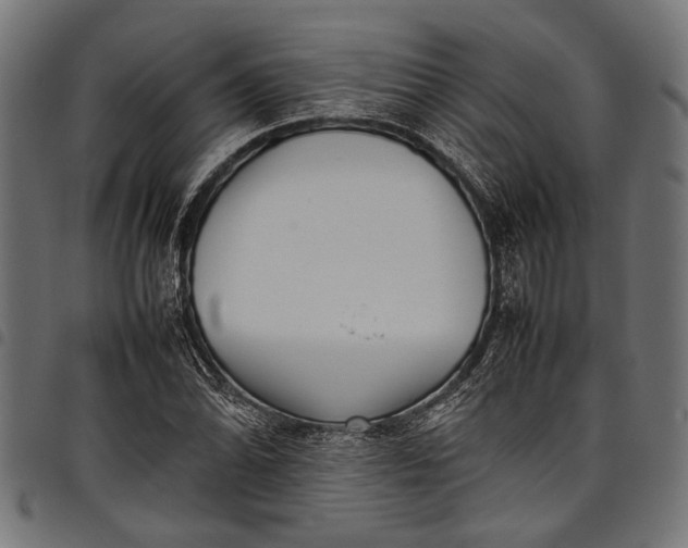 X0000097821070200803281116