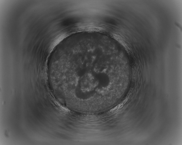 X0000097821071200803281116