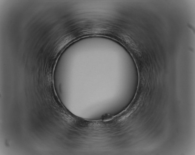 X0000097821073200803281116