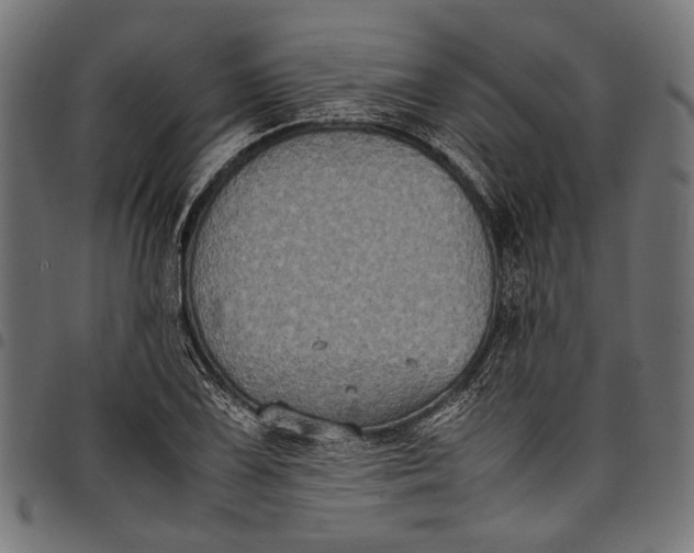 X0000097821075200803281116