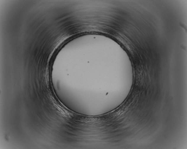 X0000097821076200803281116