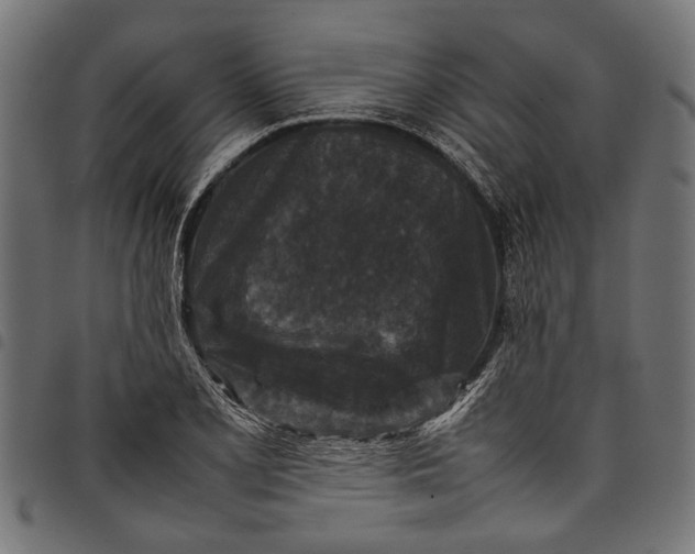 X0000097821077200803281116