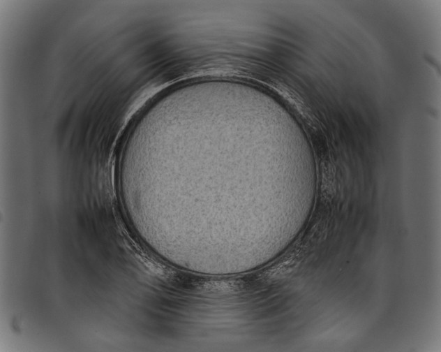 X0000097821078200803281116