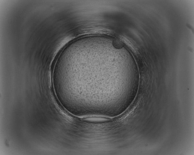 X0000097821079200803281116