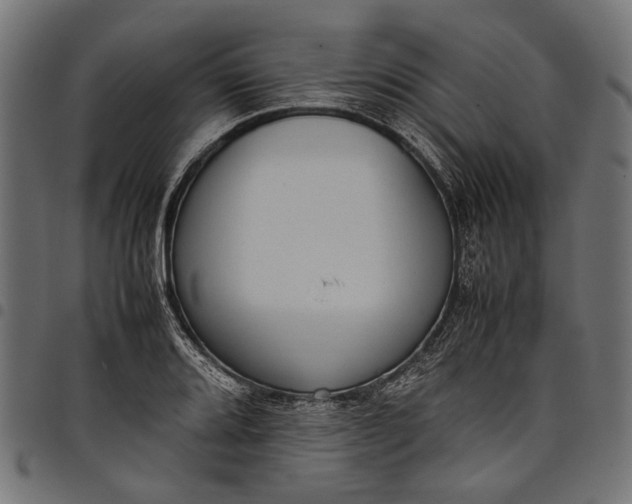 X0000097821080200803281116