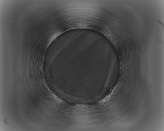 X0000097821081200803281116