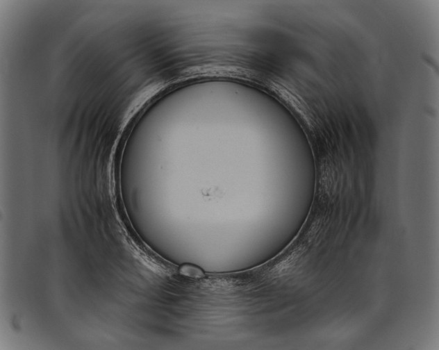 X0000097821082200803281116