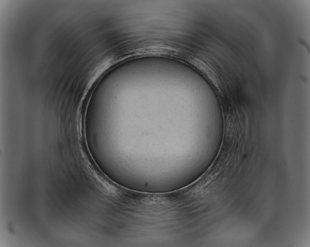 X0000097821083200803281116