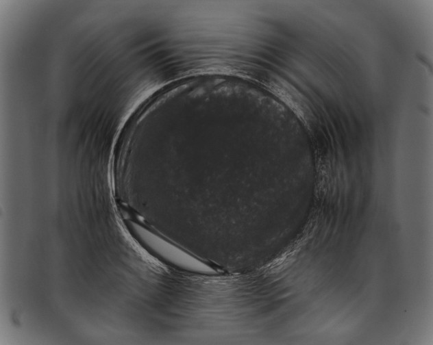 X0000097821084200803281116