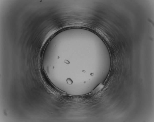 X0000097821085200803281116