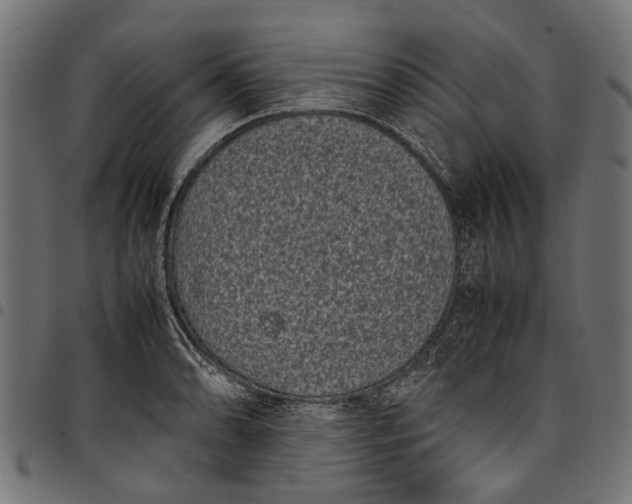 X0000097821086200803281116