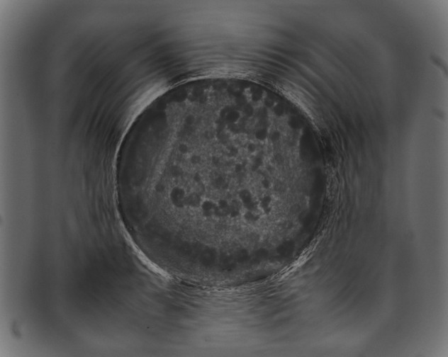 X0000097821087200803281116