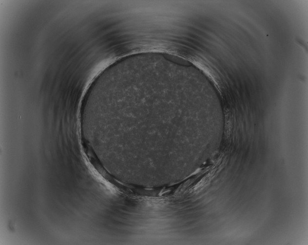 X0000097821088200803281116