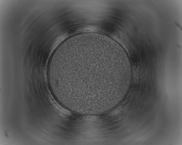 X0000097821090200803281116