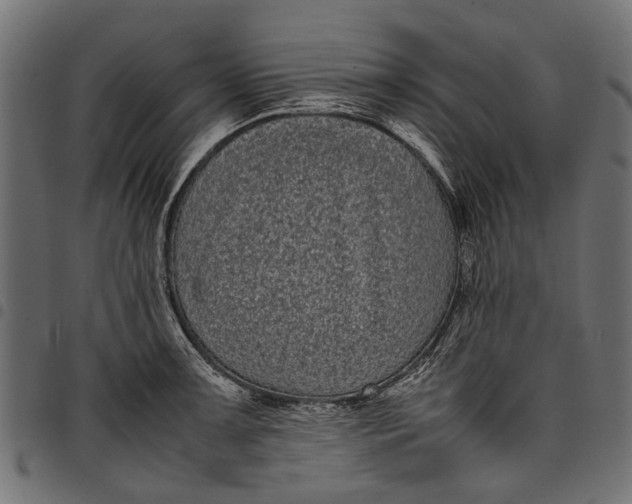 X0000097821091200803281116