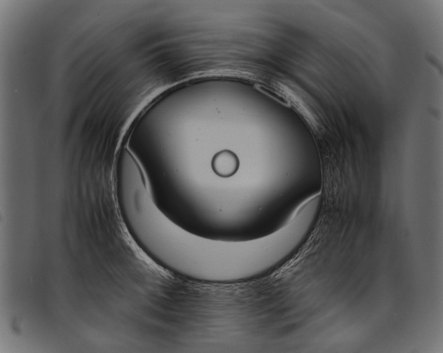 X0000097821092200803281116