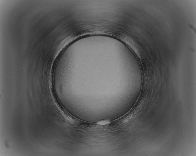 X0000097821093200803281116