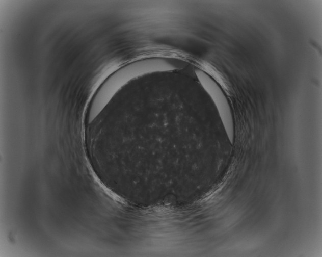 X0000097821095200803281116