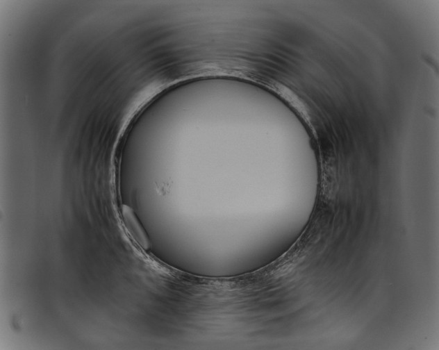 X0000097821096200803281115