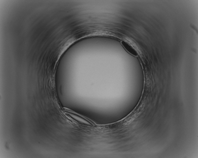 X0000097821097200803281115