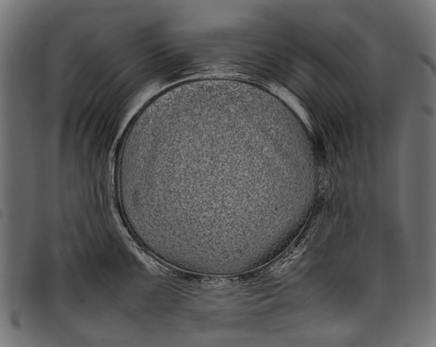 X0000097821099200803281115