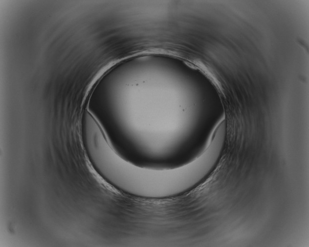 X0000097821100200803281115