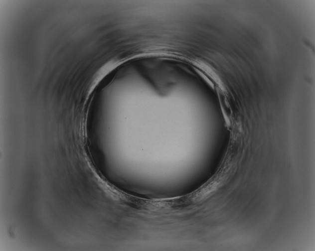 X0000097821101200803281115