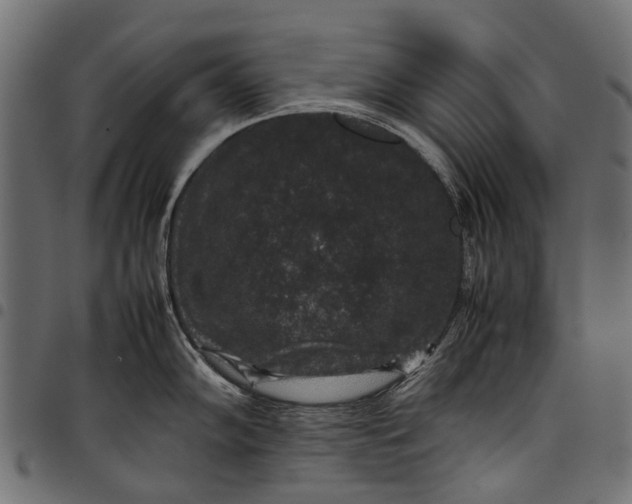 X0000097821102200803281115