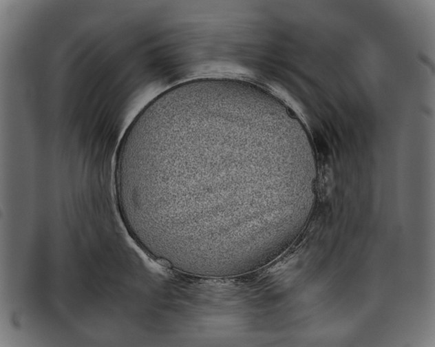 X0000097821103200803281115