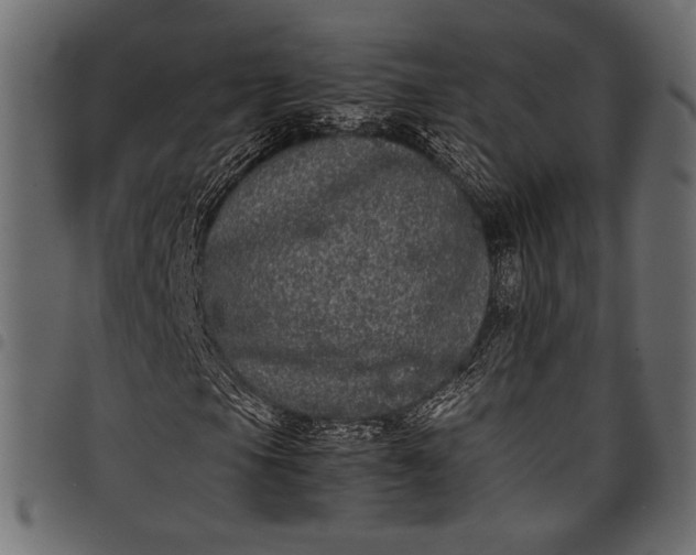 X0000097821105200803281115