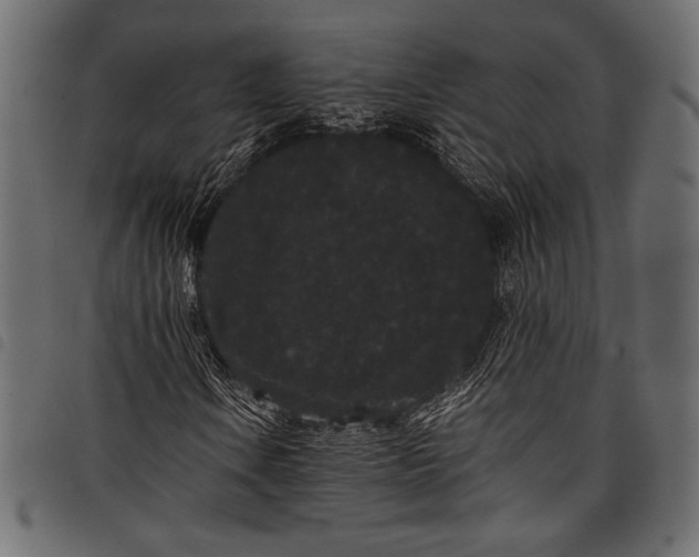 X0000097821106200803281115