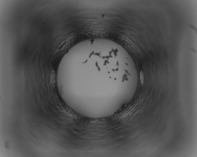 X0000097821107200803281115