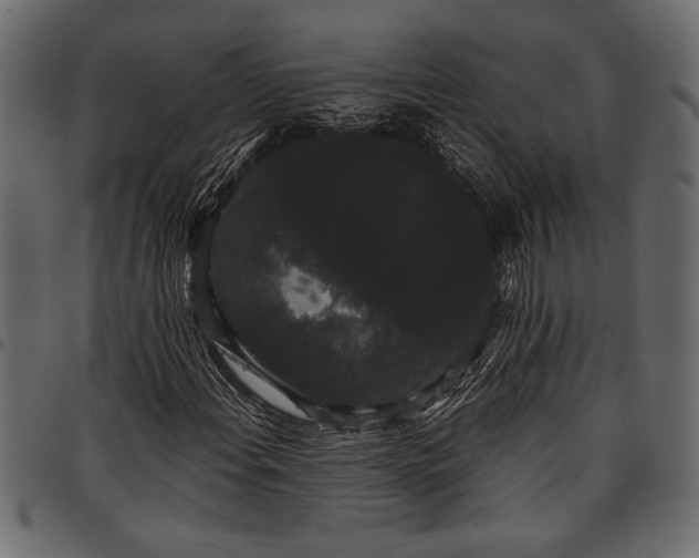 X0000097821108200803281115