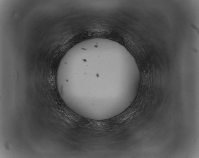 X0000097821109200803281115