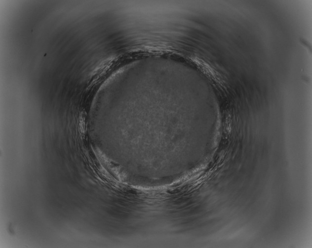 X0000097821110200803281115