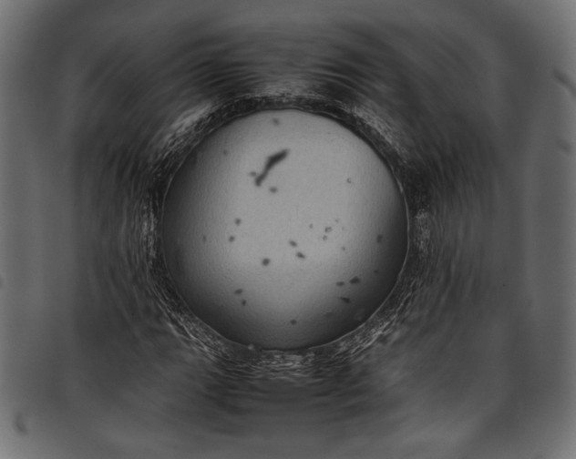 X0000097821111200803281115