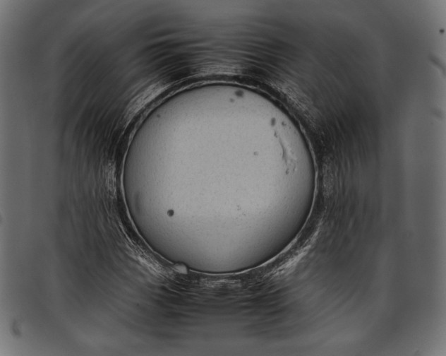 X0000097821113200803281115