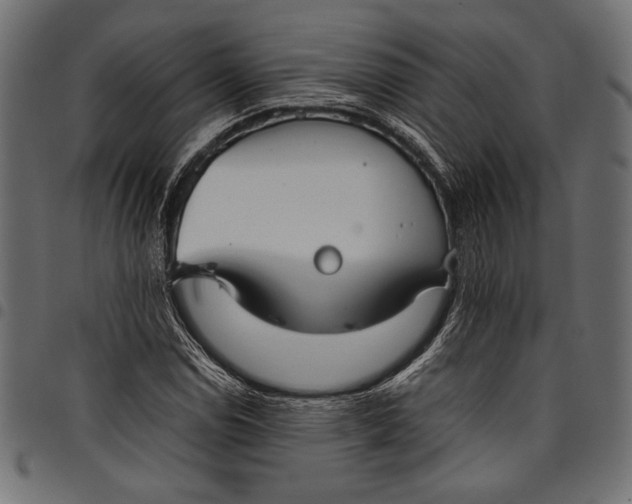 X0000097821114200803281115