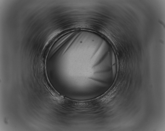 X0000097821115200803281115