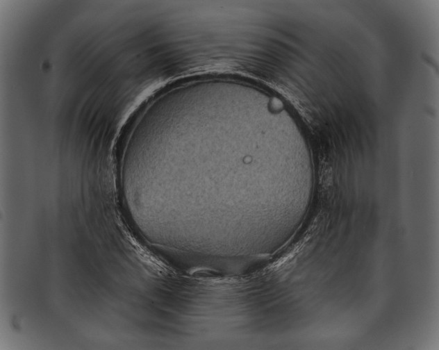 X0000097821118200803281115