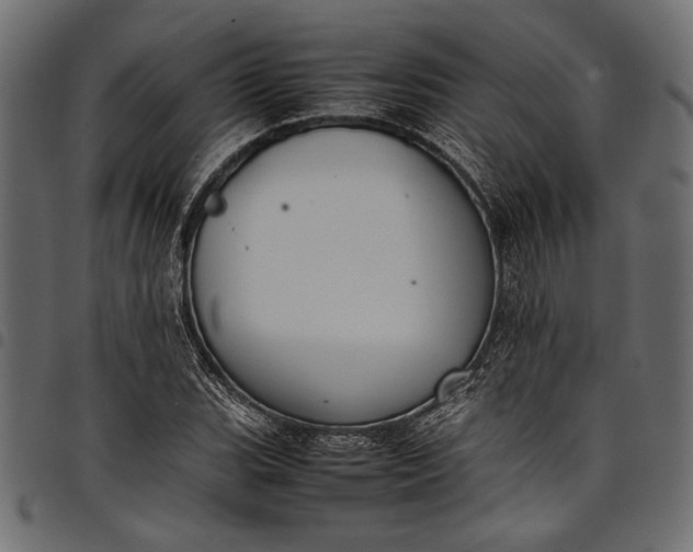 X0000097821119200803281115