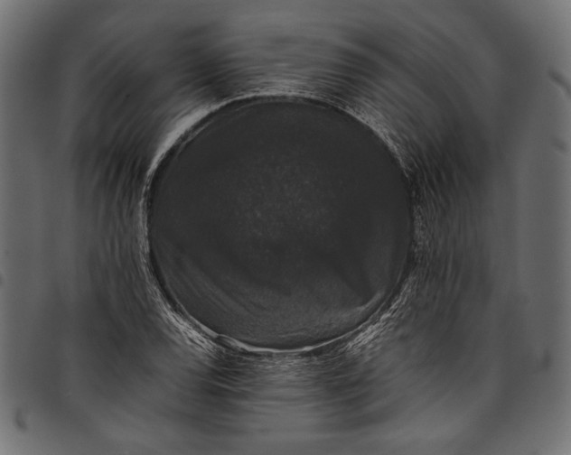 X0000097821120200803281115