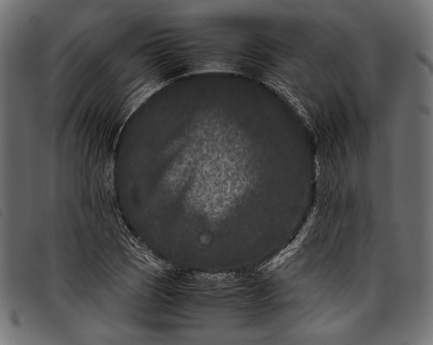 X0000097821121200803281115