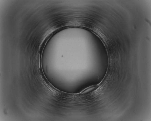 X0000097821123200803281115