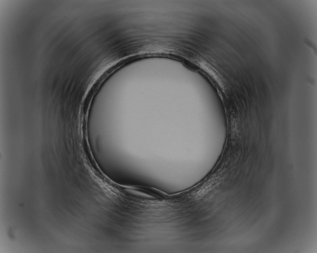 X0000097821124200803281115