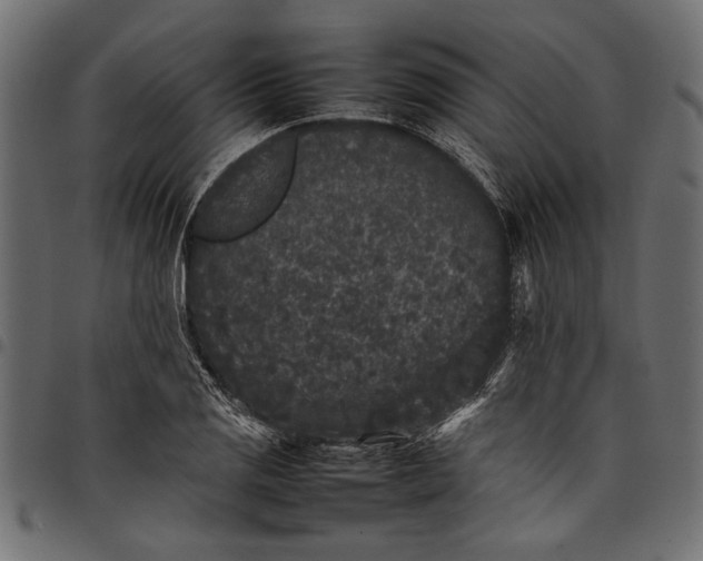 X0000097821125200803281115