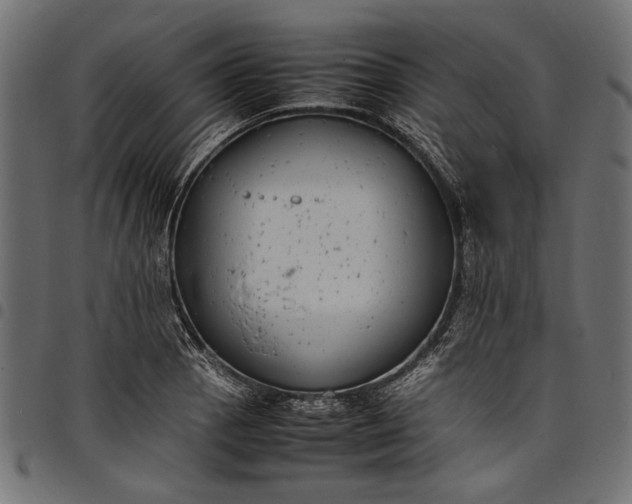 X0000097821129200803281115