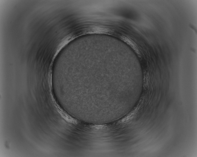 X0000097821130200803281115